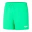Speedo Men's Essentials 16inch Watershort Green